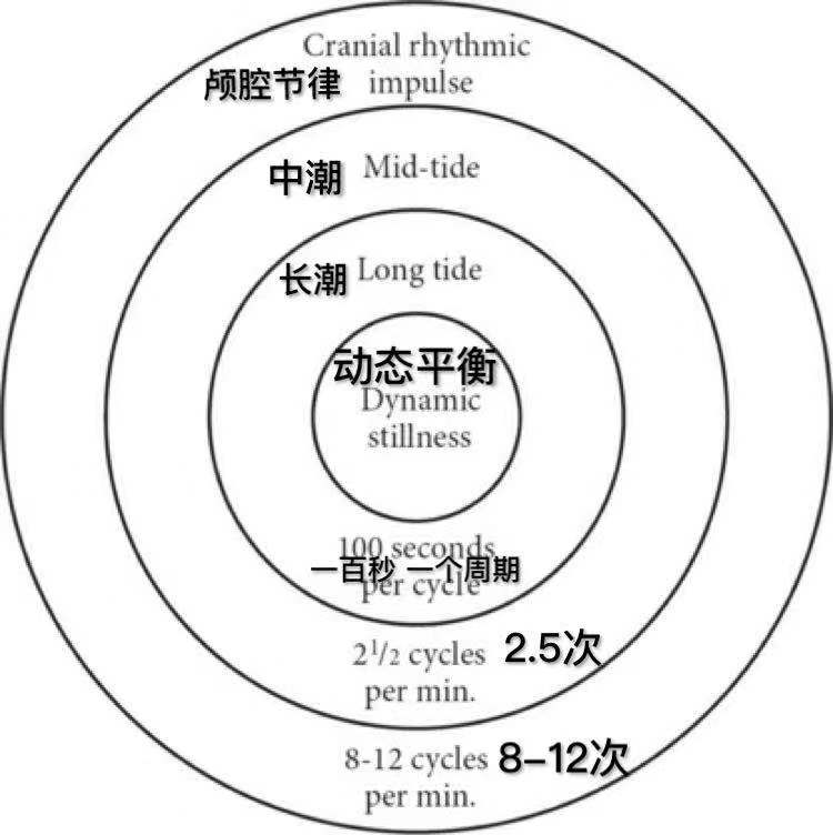 1605584355784461