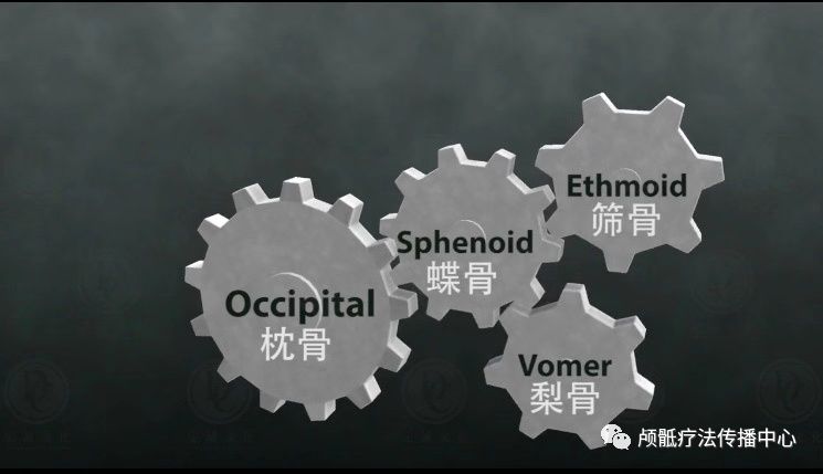1606359311717330